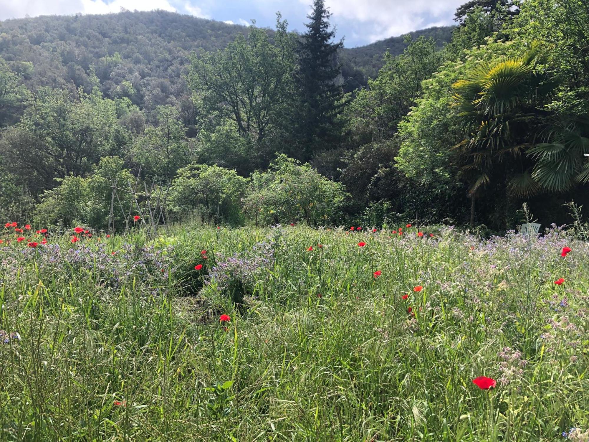 El Refugio Villa Reynès Екстериор снимка
