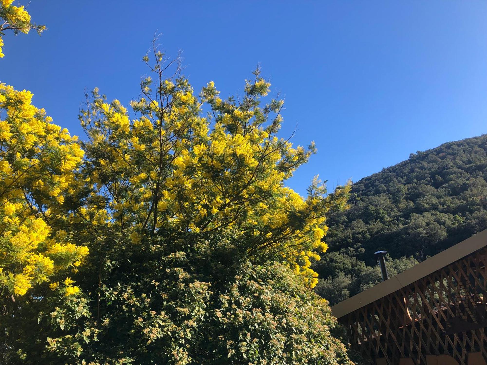 El Refugio Villa Reynès Екстериор снимка